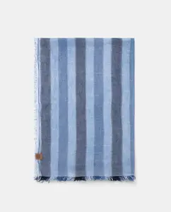 Мужской шарф с вертикальными полосками Lottusse, синий