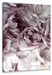 Картина на холсте Muralo BLUMEN Pflanzen Natur 3D, 50x70x70 см, серый/белый