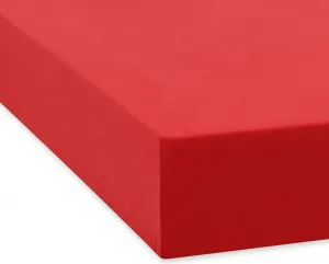 Простыня Dream Sleep Fine Flannel на резинке 90x190 - 100x200 см, цвет вишневый Traumschlaf