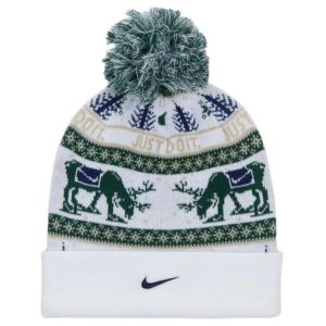 Пик зимней сказки бини Nike