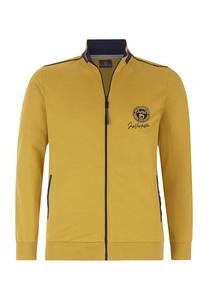 Толстовка и тарсен Jan Vanderstorm, желтый