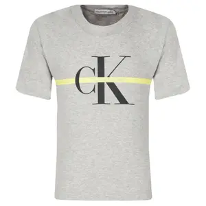 Футболка стандартного кроя Calvin Klein, серый