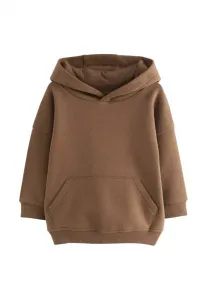 Худи стандартного кроя Next, Brown