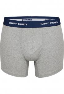 Брюки 2-PACK XMAS Happy Shorts, темно-серый