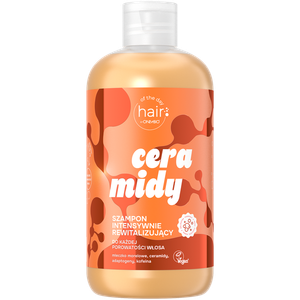 Интенсивный восстанавливающий шампунь с керамидами для волос, 300 мл Hair Of The Day By only bio