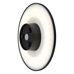 Globo Lighting Уличный светодиодный светильник Lamont, черный