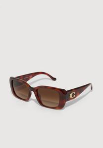 Солнцезащитные очки COACH Sunglasses, Caramel Tortoise/Brown/Light Brown