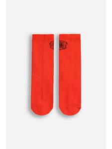 Coccodrillo Красные носки