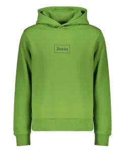 Хлопковый свитер с капюшоном с ламинарным рисунком Herno, зеленый