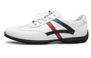 Стильные скейтбординговые кроссовки Men's ZRO, белые