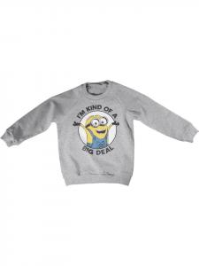 Толстовка Minions, серый