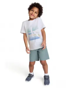 Футболка с коротким рукавом и шорты из твила для малышей и мальчиков, 2-предметный комплект Calvin Klein