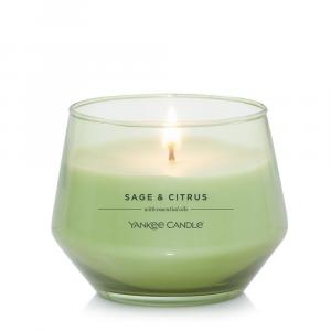 Коллекция Yankee Candle Studio Sage & Citrus, 10 унций. Свеча Баночка, зеленый