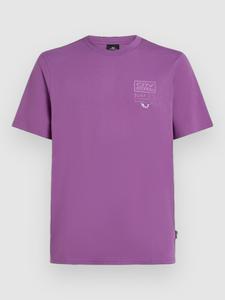 Футболка O'Neill Retro Graphic T-Shirt, sweet grape