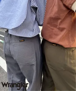 Брюки Journal Standard, цвет Brown