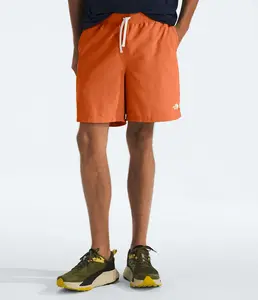 Мужские шорты Action 2.0 The North Face, Iron Bronze