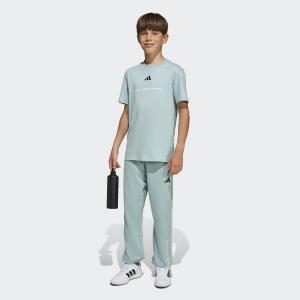 Adidas Sportswear Футболка Performance в цвете Mint