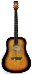 Акустическая гитара Washburn WSHAGPAKQTTB Dreadnought в комплекте