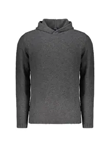 Худи с длинными рукавами Fedeli, серый