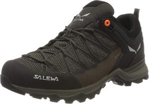 Мужские кроссовки Salewa MS MTN Trainer Lite GTX, Braun