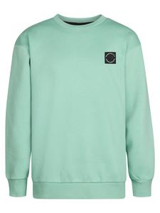 Толстовка Petrol Industries, мятный