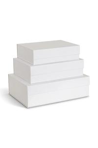 Набор из 3 коробок для хранения Bigso Box Of Sweden, белый
