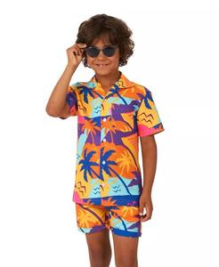 Комплект из 2 летних рубашек и шорт для маленьких мальчиков Opposuits, мультиколор