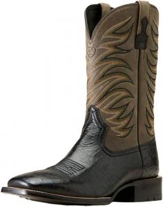 Мужские ботинки ARIAT Badlands, черный