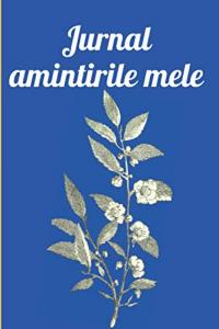 Jurnal amintirile mele: 100 de pagini pentru amintirile mele (Romansch Edition) (Independently published)