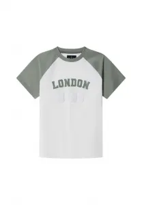 Футболка с принтом Hackett London, Sage Green