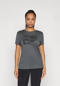 Спортивная футболка icebreaker WOMEN TECH LITE TEE TERRAIN, Obsidian/Anthracite