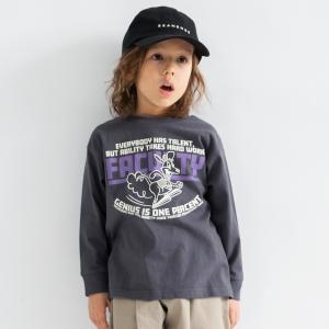 Футболка с длинными рукавами с разнообразными графическими принтами Branshes, цвет 91_Gray_Kangaroo