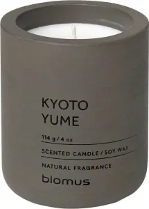 Ароматическая свеча Fraga Blomus, оливково-зеленый