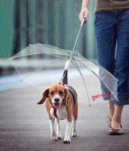 Зонт Freedog 45см 45 см Freedog