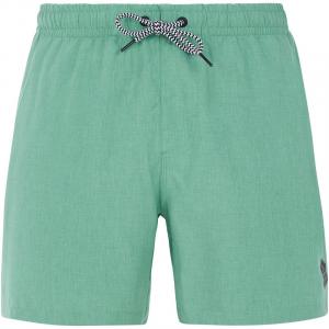 Плавки Davey beachshort Protest, зеленый