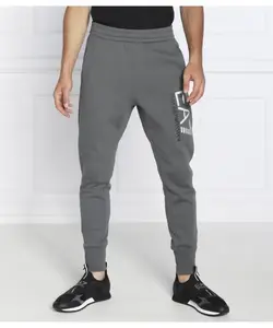 Спортивные штаны Regular fit Ea7, серый