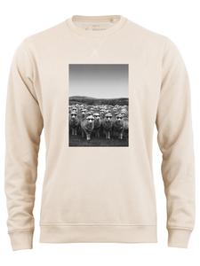 Толстовка Cotton Prime Schafe, слоновая кость