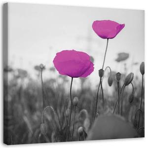 Фреска Feeby Lila Mohnblumen Natur Pflanzen, 30x30x2 см, фиолетовый