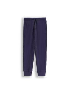Спортивные брюки темно-синего цвета Coccodrillo