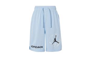 Повседневные шорты мужские синие Jordan, синий