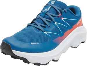 Salomon мужские туристические ботинки, Blue