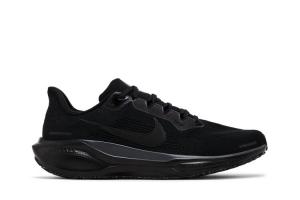 Кроссовки Air Zoom Pegasus 41, цвет Black Anthracite