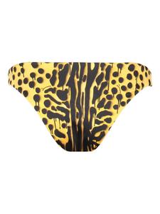 Плавки бикини с анималистичным принтом DSQUARED2, желтый