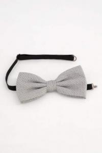 JP1880 Бабочка в цвете Grey, Light Grey