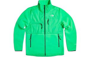 Куртка мужская зеленая The North Face, зеленый