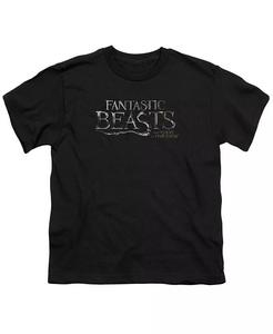Футболка с коротким рукавом и логотипом для мальчиков Fantastic Beasts, черный