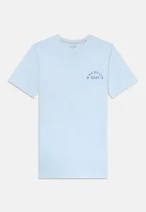 Футболка с принтом Wrangler, Niagra Mist