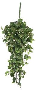 Декоративное растение Mica Decorations Hängepflanze Scindapsus, зеленый