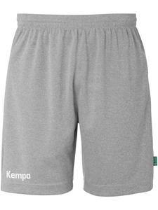 Тканевые шорты Team Shorts Kempa, серый