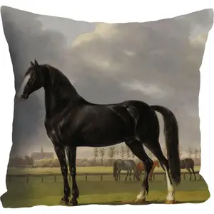 Декоративная подушка queence Лошади, чехол для подушки без набивки, 1 шт. Queence, Bunt + bedruckt
